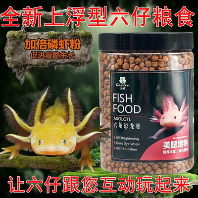 六角恐龙鱼饲料蝾螈娃娃鱼食上浮