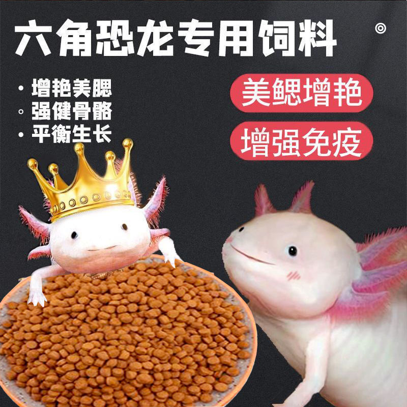 六角恐龙鱼饲料蝾螈专用鱼食