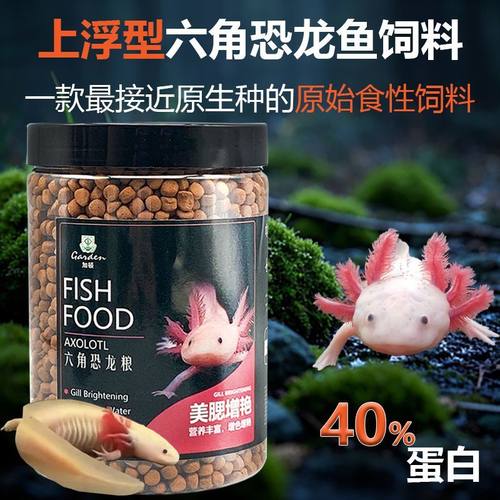 六角恐龙鱼饲料蝾螈鱼食互动型