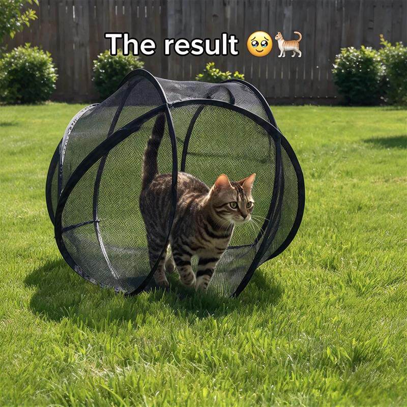 球形猫笼可折叠猫笼小猫户外防丢球网圆形溜猫宠物帐篷滚动猫帐篷