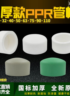 PPR热熔堵帽堵头DN20/25/32/40/63/75ppr管堵4分6分家用水管配件