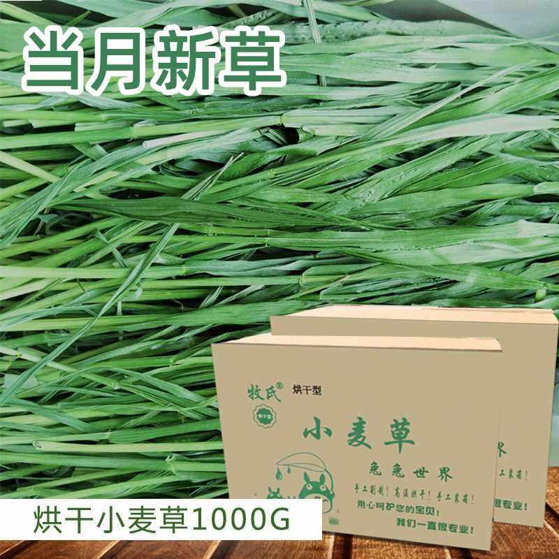 2023年烘干小麦草干草兔子龙猫荷兰猪牧草小麦新草 干草1000g毛重