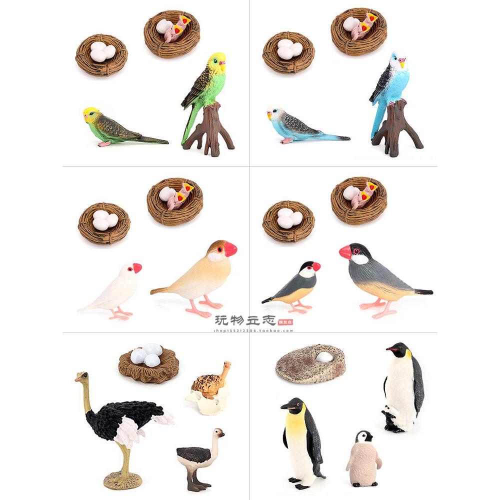 仿真动物生长周期模型虎皮鹦鹉文鸟企鹅鸵鸟成长周期儿童科教玩具