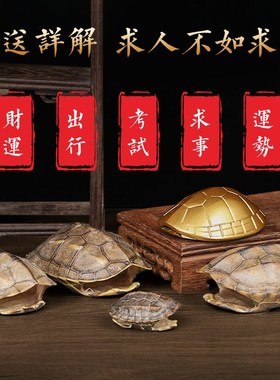 天然好运乌龟壳真龟甲文玩六爻摇卦工具乾隆铜钱算挂手把件摆件