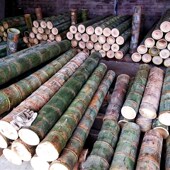 巨龙竹竹料 大竹子竹筒料