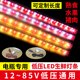 12V低压灯条灯熟食灯卤肉卤菜灯48v60v72伏电动三轮车水果灯