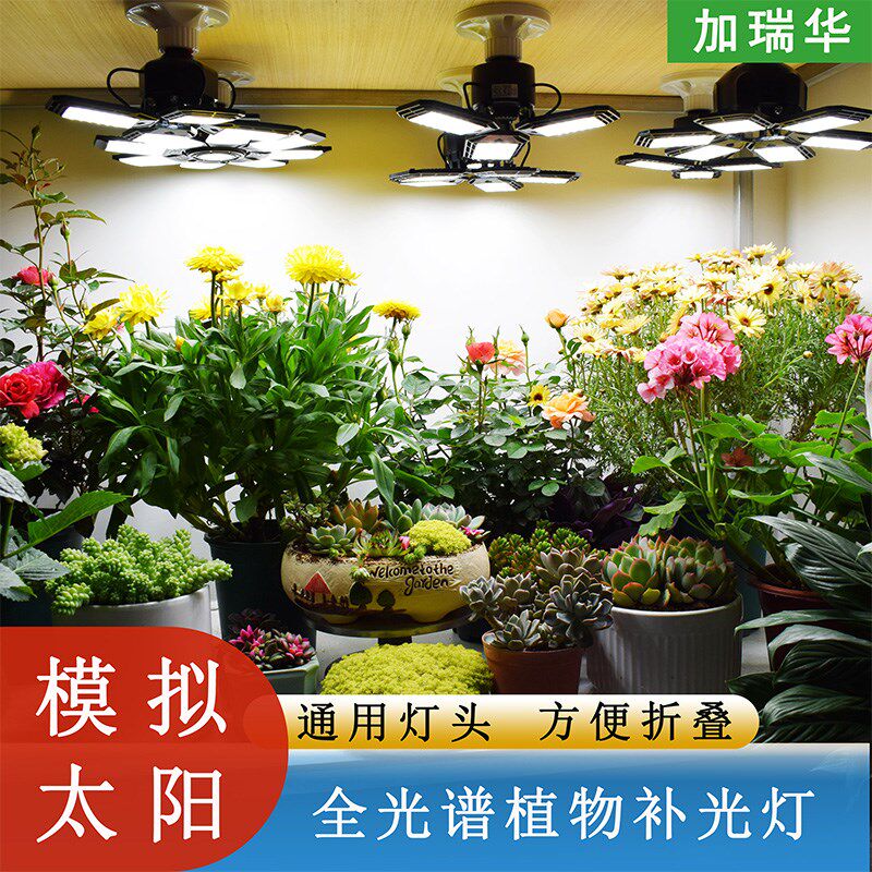 全光谱可折叠室内阳台绿植蔬果育苗多肉太阳植物补光灯植物生长灯
