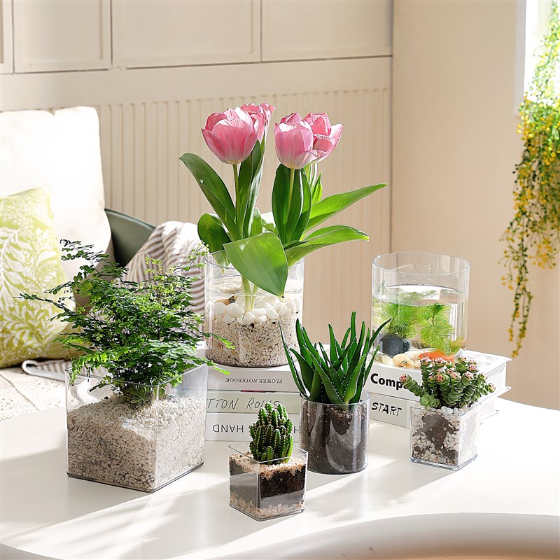 透明方缸花瓶水养花瓶摆件透明玻璃缸花盆插花水养鲜花绿萝