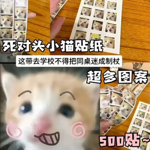 死对头小猫贴纸萌宠表情包卷卷贴儿童手账装饰贴学生教室整蛊道具