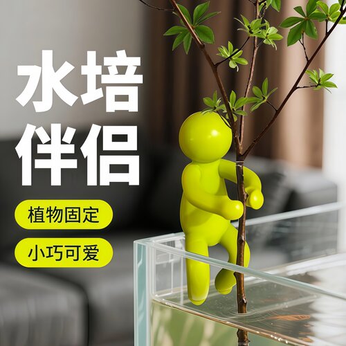 水培植物扶正固定造型伴侣通用