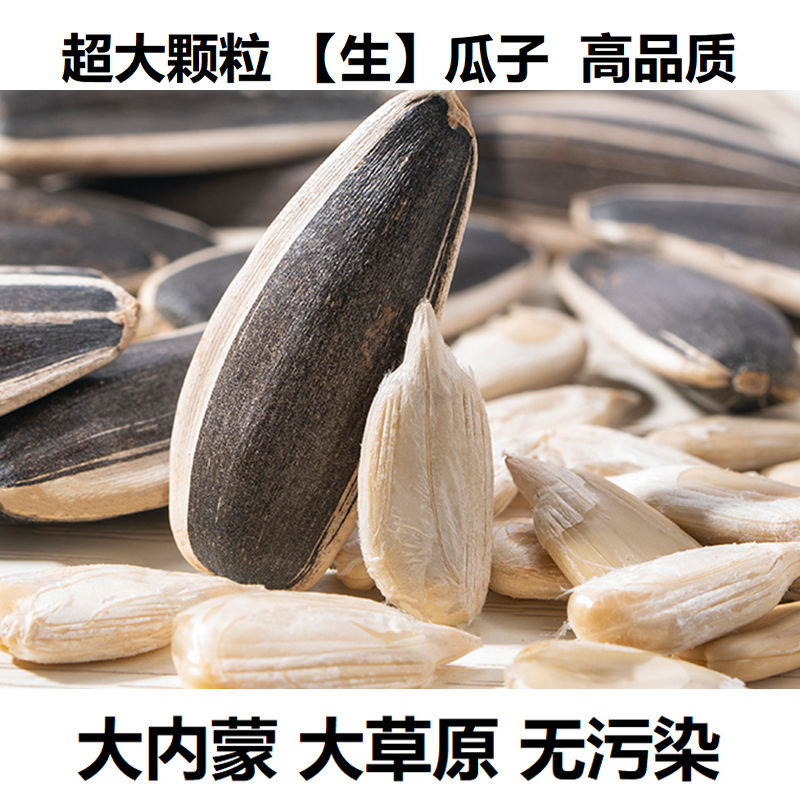 大粒葵瓜子原味瓜子生葵花籽批发
