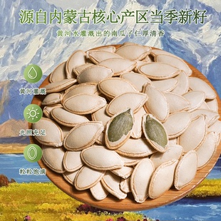 内蒙大粒生南瓜子原味炒熟原味南瓜子新货南瓜籽休闲零食批发坚果