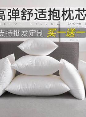 IKAE买 一送一抱枕芯靠枕芯长方形卧室45 50 55 60 65方芯婚庆