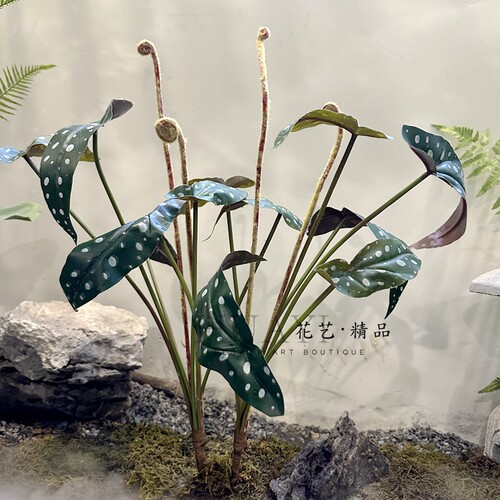 软胶手感海棠叶仿真草蕨叶植物造景绿植壁挂墙面花艺造景枯山水