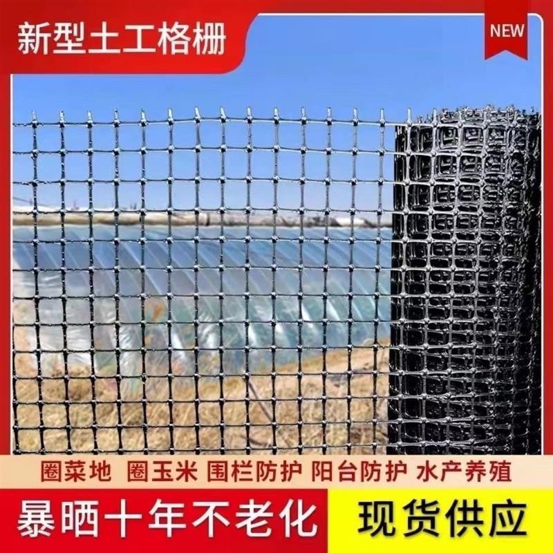 土工格栅塑料网格防护网小孔养鸡养鸭围栏护栏网庭院养殖网圈玉米
