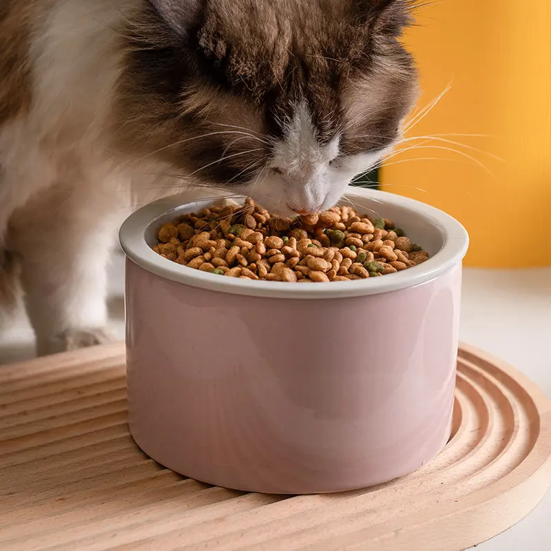 吃饭喝水两用储粮式陶瓷猫碗狗碗食盆猫咪粮碗护颈防黑下巴宠物碗