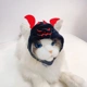 万圣节宠物帽子蝙蝠南瓜搞笑狗狗头套猫咪鬼节头饰装 扮