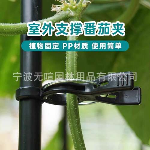 西红柿固定夹番茄黄瓜茄子支撑花架固定器蔬菜爬藤架夹子攀爬