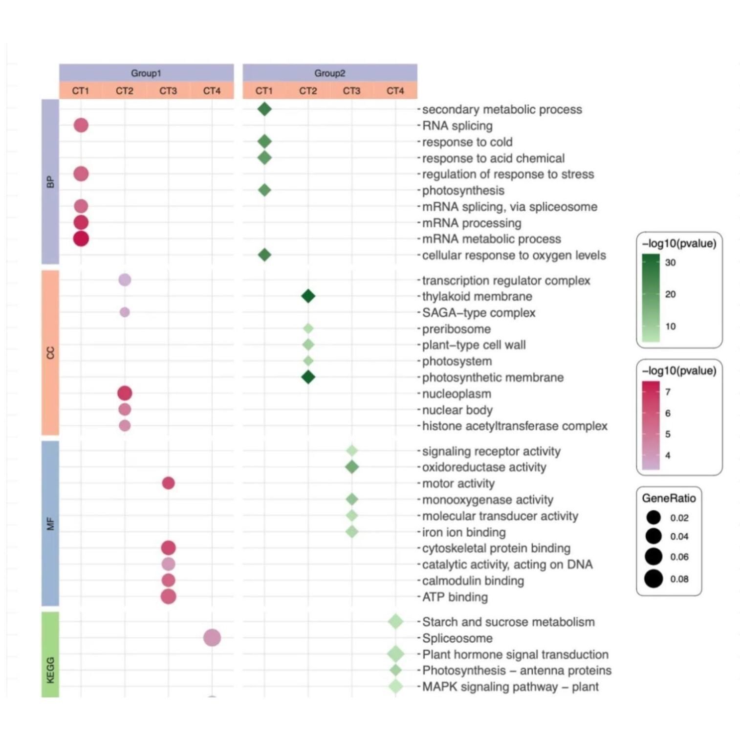 生信分析服务TCGA/GEO数据挖掘SCI2-5分代做16s转录组基因组分析