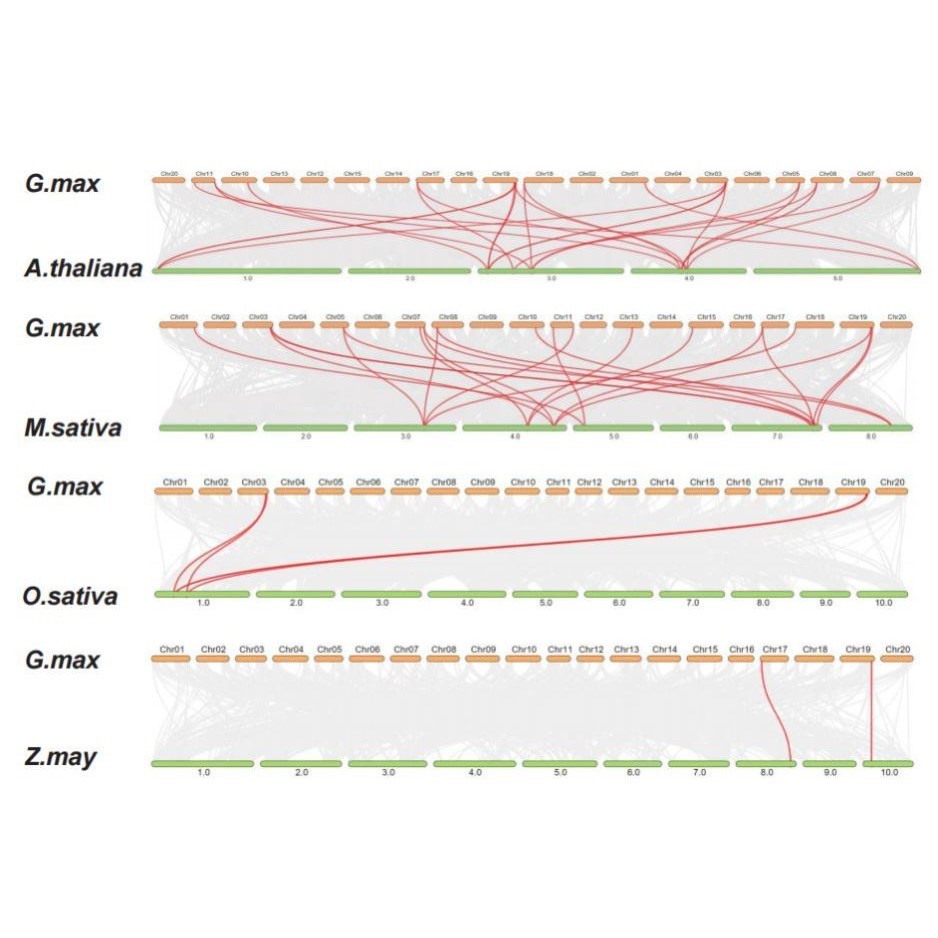 r语言绘图数据生信分析课程代码包SCI科研医学桑基热实战模型挖掘