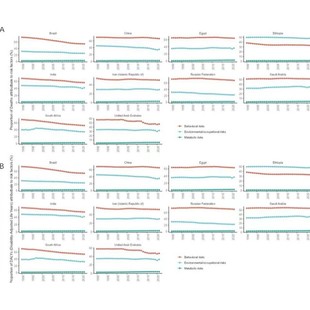 GBD数据库分析 代分析 GBD全球疾病负担数据库挖掘课题思路R代码