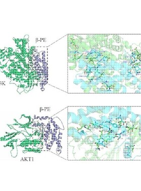 分子动力学模拟 DFT计算高斯 MS Gaussian Materials studio