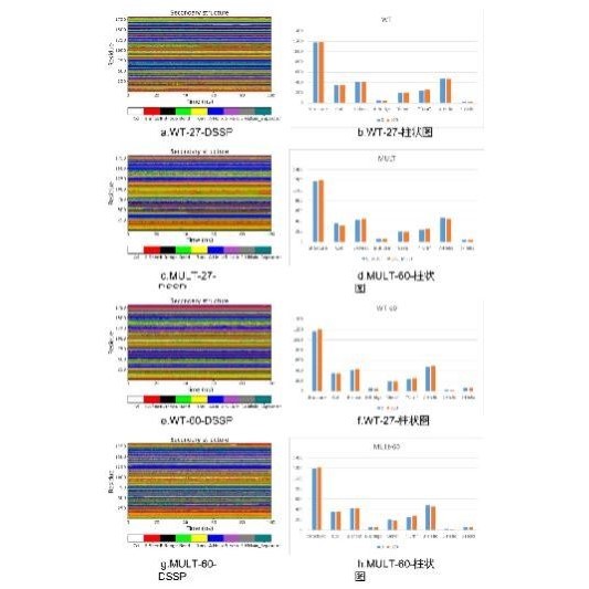 分子动力学模拟 分子动力学代算 生物分子计算 amber gromacs代算