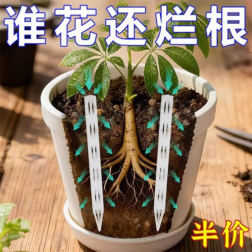 花盆盆土通气管透气排水防烂根