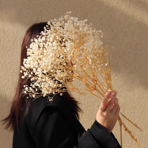天然干花永生花花束真花满天星