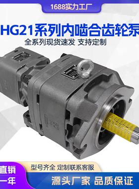液压泵海特克内啮合齿轮泵HG21-80-50-01R-VPC-D-36-1电机伺服泵