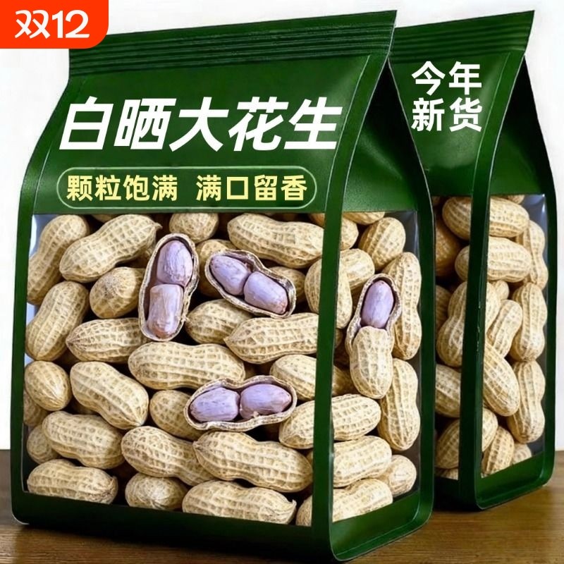 2025 新货蒜香花生带壳 500g 龙岩特产水煮湿烤 香脆下酒零食小吃,传统滋补营养品,药膳养生粉/羹/糊,淘宝优惠券,粉丝福利购,淘宝优惠卷