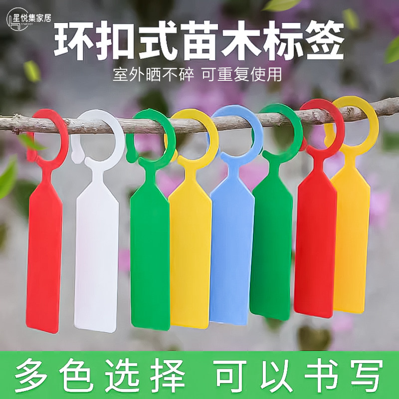 园艺标签插牌吊牌防水环扣植物挂牌标识卡塑料加厚多肉小标签工具