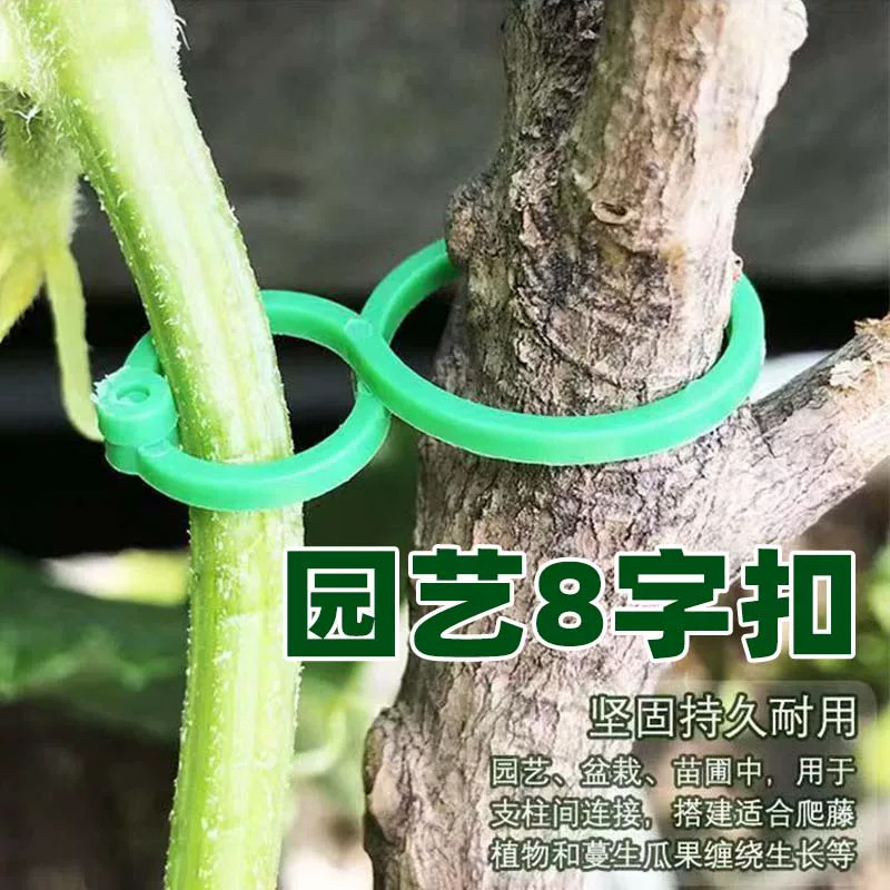 园艺8字扣卡扣支撑捆绑固定夹