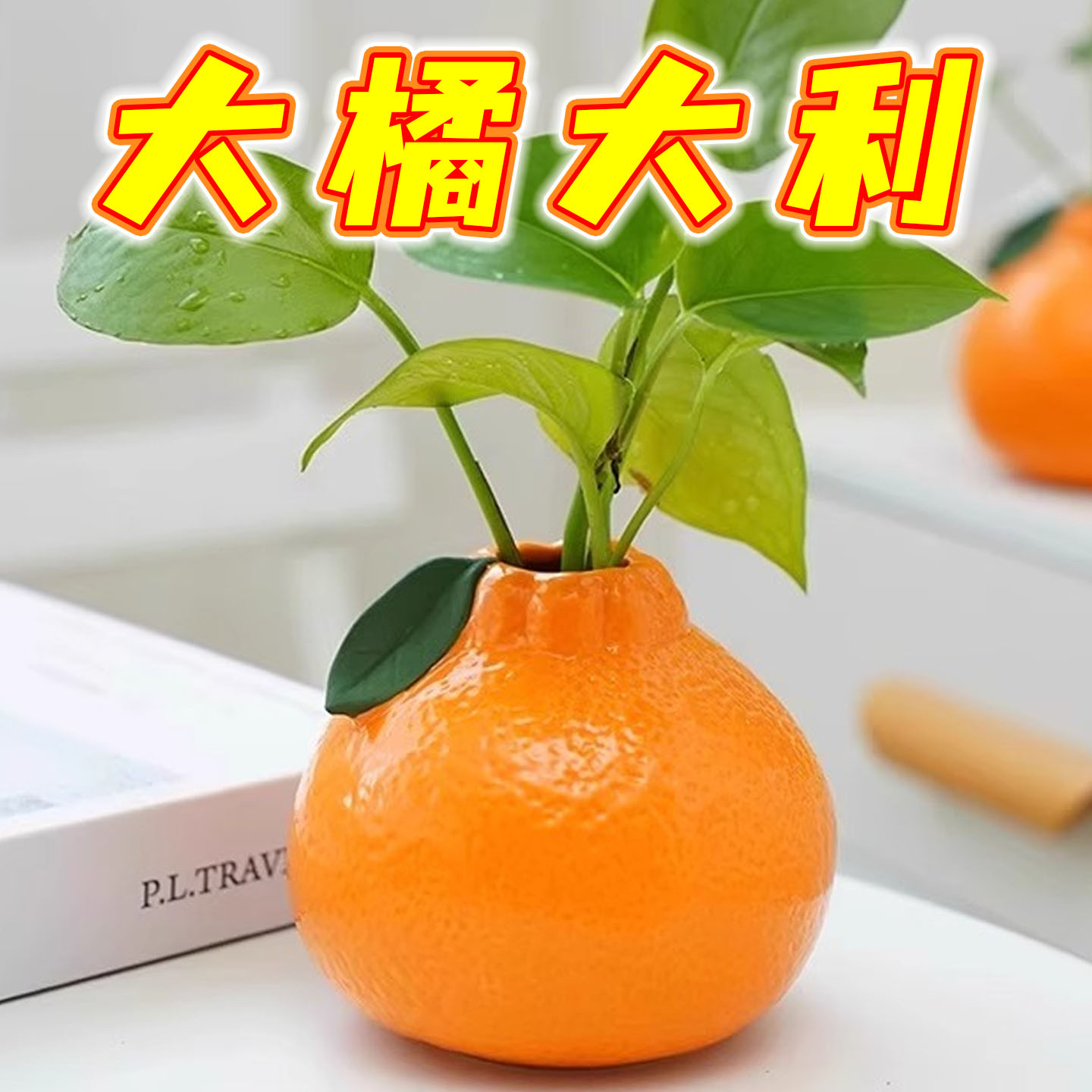 仿真橘子花瓶水培绿箩高颜值