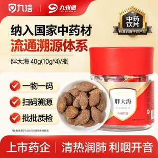九信胖大海40g 瓶广西中药饮片清热润肺利咽开音九州通旗舰店正品