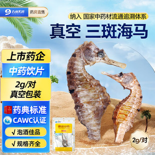 九州天润三斑海马中药材海龙海马干货中药饮片一公一母泡酒煲汤