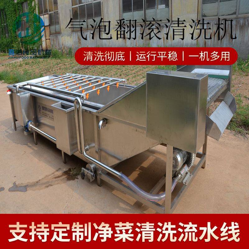 气泡翻滚清洗机不锈钢气泡蔬菜清洗设备全自动油桃气泡清洗机