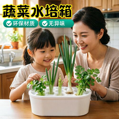 蔬菜水培箱葱花香菜大蒜植物