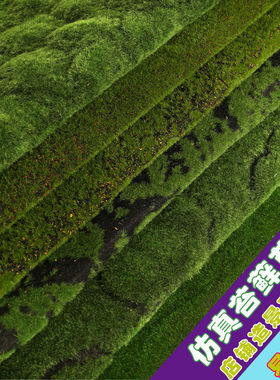 仿真苔藓草坪永生绿色人造假苔藓背景墙装饰青苔植物墙微景观草皮