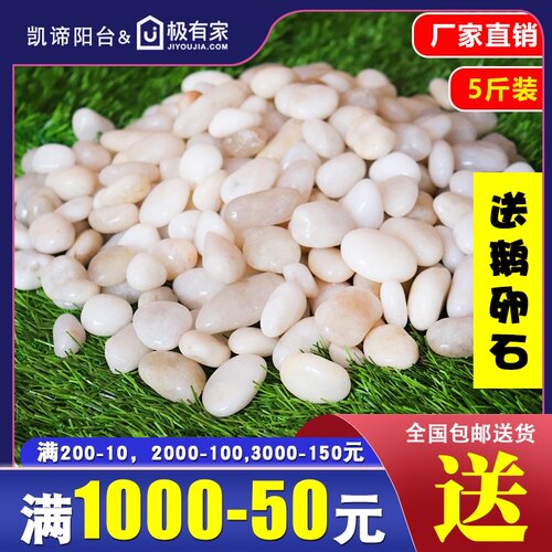 白色鹅卵石铺路铺地庭院园林造景天然大小石头雨花石原石小白石子