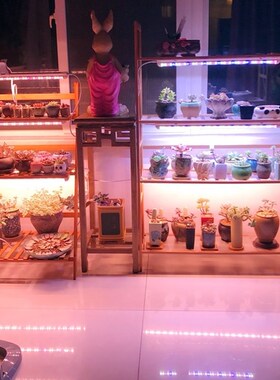 wega贵翔植物生长灯全光谱仿太阳多肉补光灯上色防徒家用led灯管
