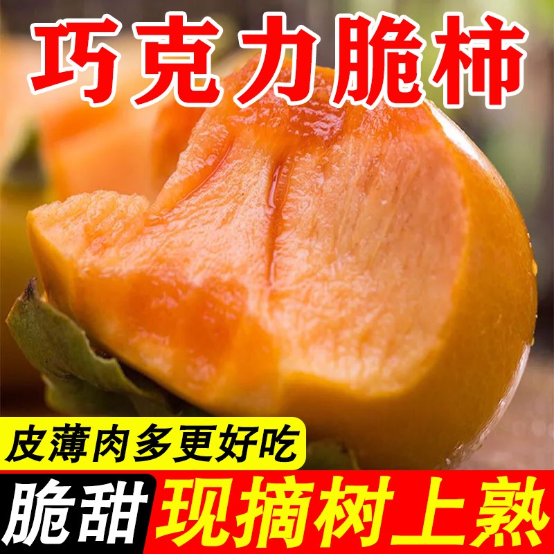 广西恭城脆柿子脆甜现摘水果