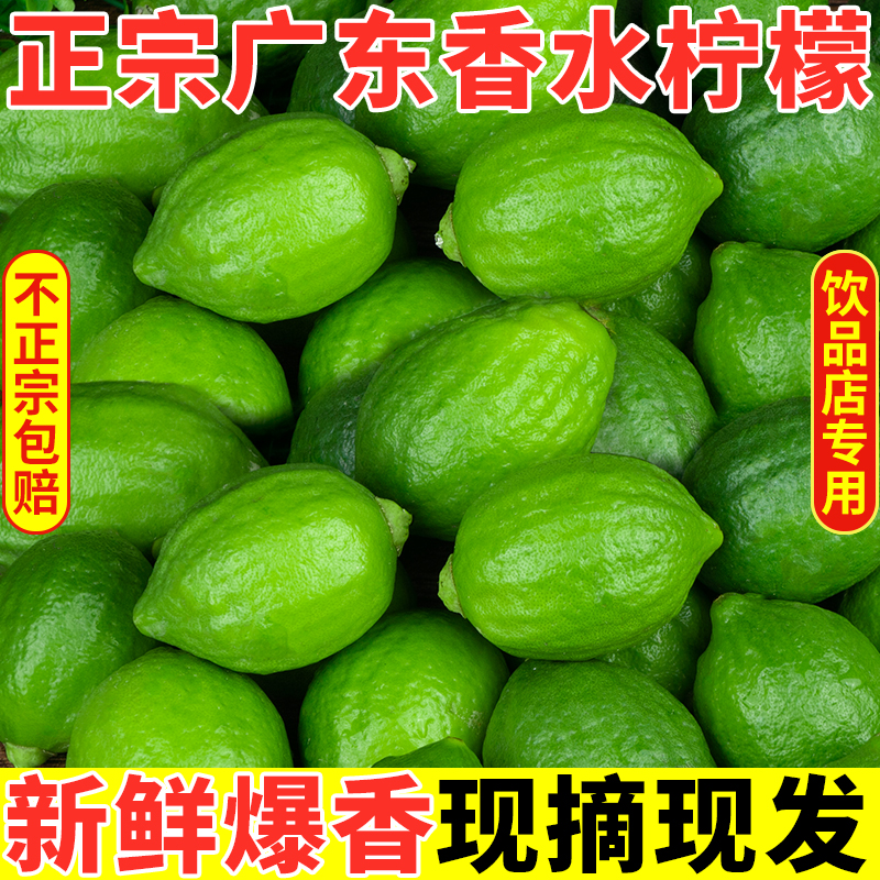 广东香水柠檬香水柠檬新鲜正宗青柠檬无籽一级果应当季水果