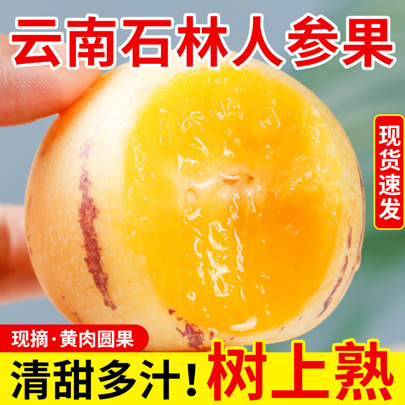 云南人参果新鲜水果当季现摘人参果整箱包邮新鲜人参果树上熟圆果