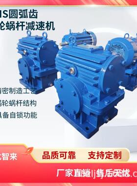 CWO250圆弧齿减速器非标WHS旋转蜗杆圆柱齿轮蜗轮减速机