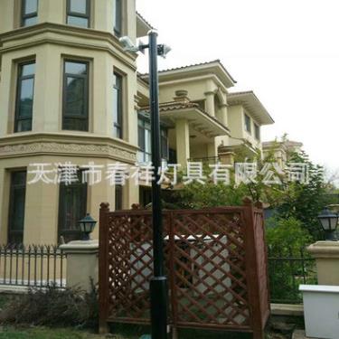 4米单火杆单臂杆球机枪机监控立杆监控杆厂家生产户外路灯杆