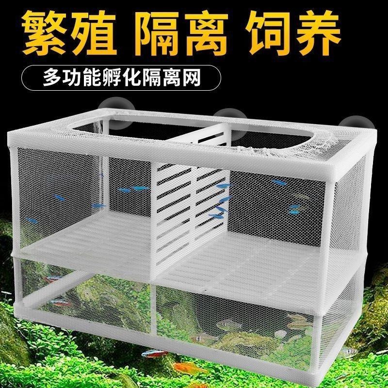 鱼缸水族箱隔离网网孵器小鱼隔离