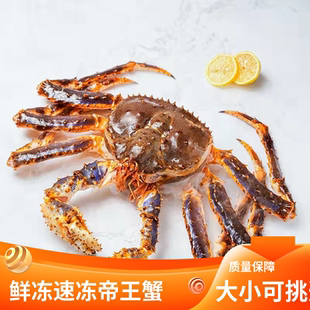 俄罗斯阿拉斯加帝王蟹活冻海鲜鲜活水产皇帝蟹顺丰包邮帝皇蟹