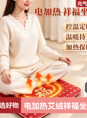 电加热艾草艾灸坐垫秋冬热敷