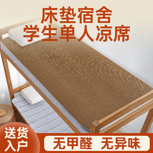 床垫宿舍学生单人凉席天然椰棕偏硬环保棕榈家用护3e棕加硬经济型